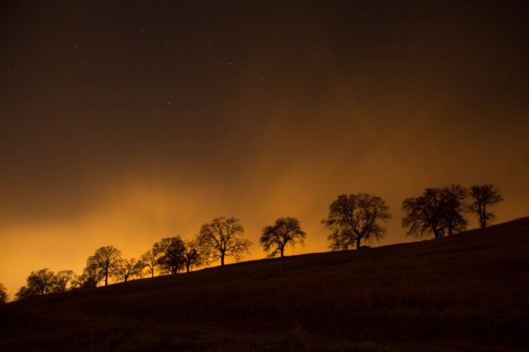 orange sky line