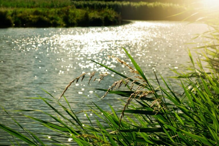 River - 3 Common Fears In Opioid Addiction Recovery And How To Overcome Them