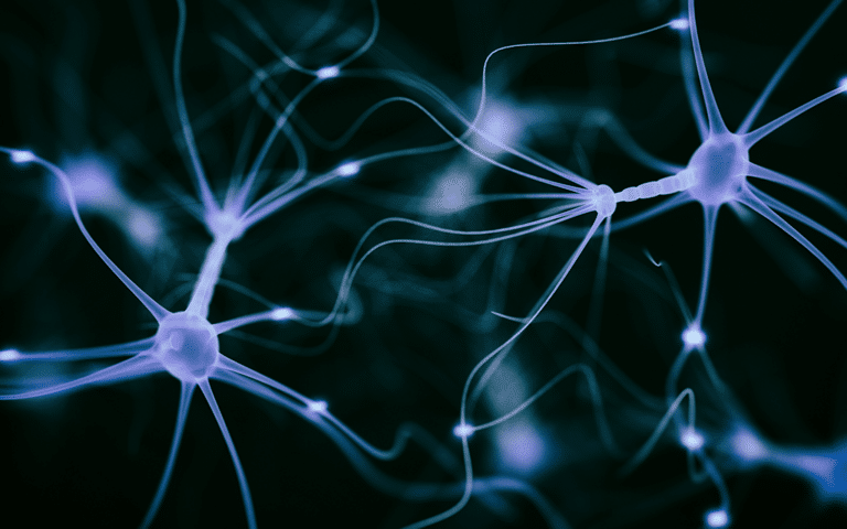 How Opioids Impact Your Body and Brain